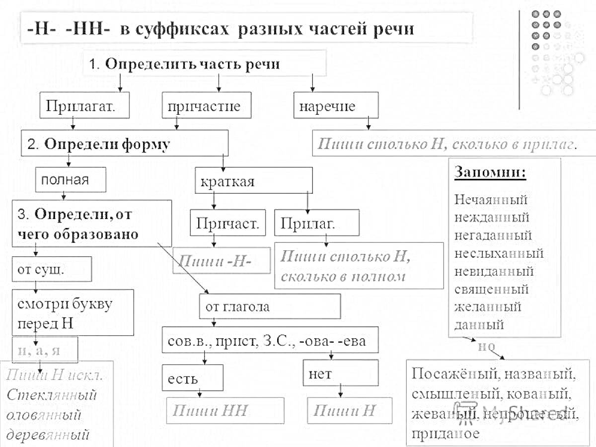 Раскраска Схема определения написания Н и НН в суффиксах разных частей речи (причастие, прилагательное, наречие)