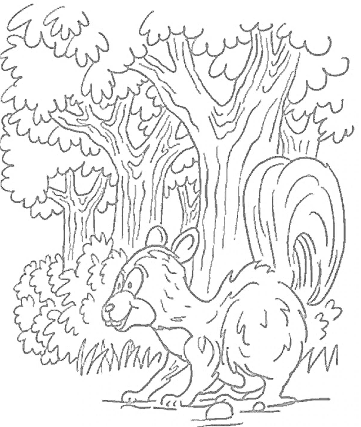 Раскраска Белка в лесу с деревьями и кустами