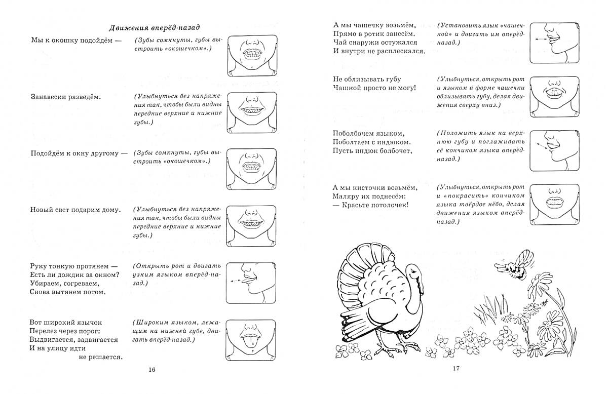 На раскраске изображено: Индюк, Цветы, Бабочка, Развитие речи