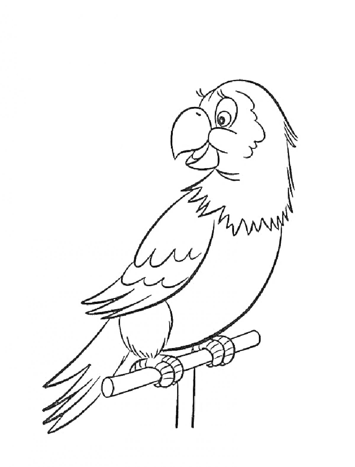 Раскраска Попугай сидящий на перекладине, вид сбоку