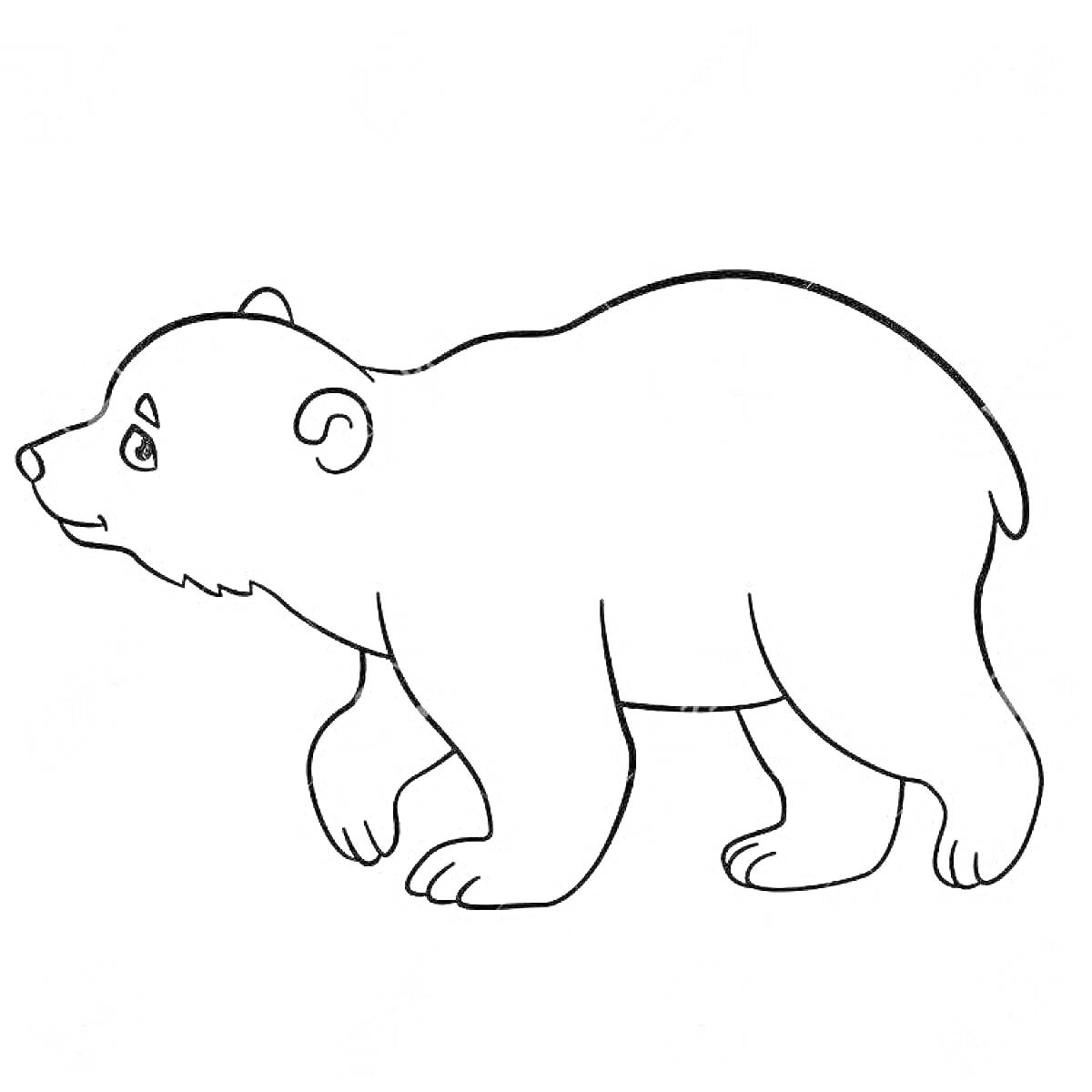 На раскраске изображено: Умка, Медведь, Животные