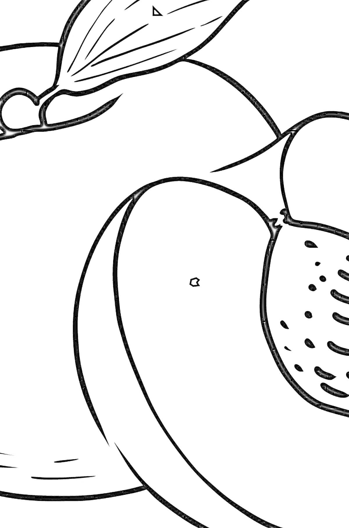 Раскраска Раскраска с изображением целого персика с листьями и половинки персика с косточкой