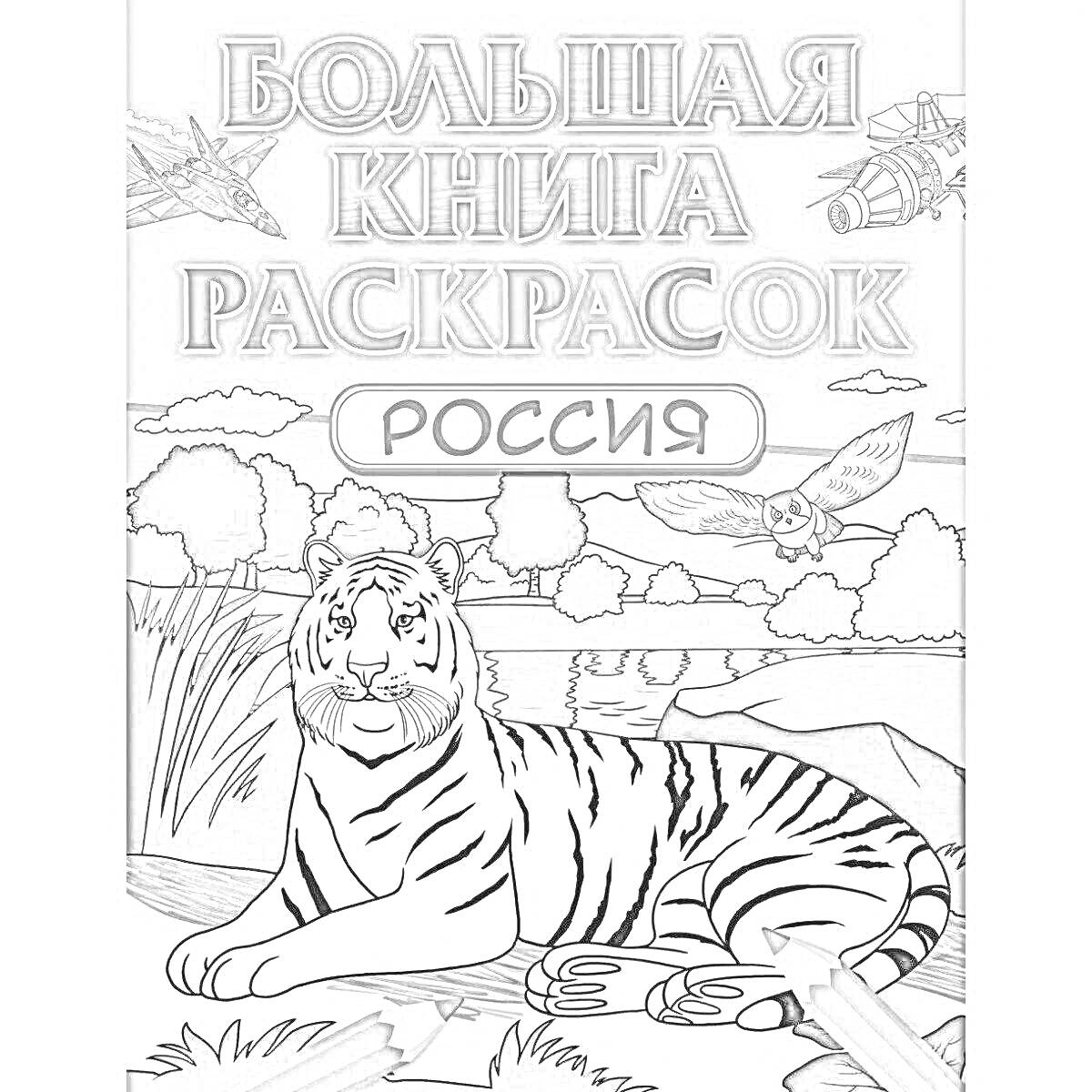 Раскраска Большая книга раскрасок Россия - тигр, самолёт, сова