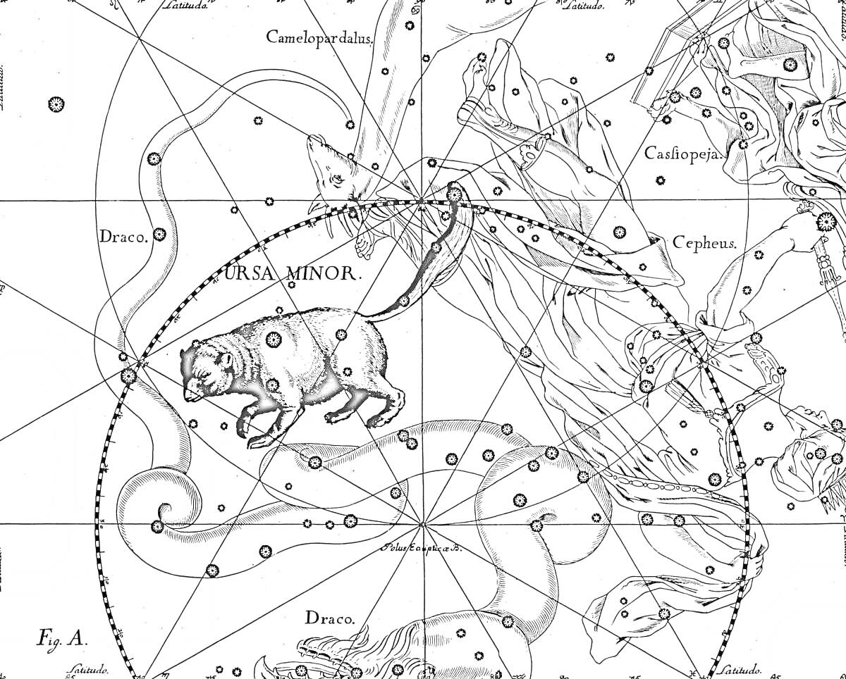 РаскраскаМалая медведица с окружающими созвездиями и звездами