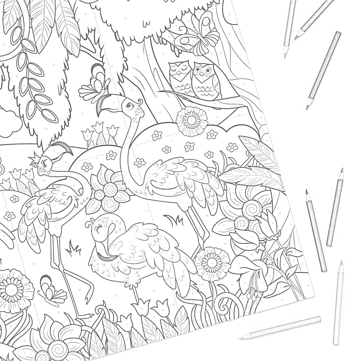 На раскраске изображено: Фламинго, Цветы, Листья, Деревья, Природа, Животные