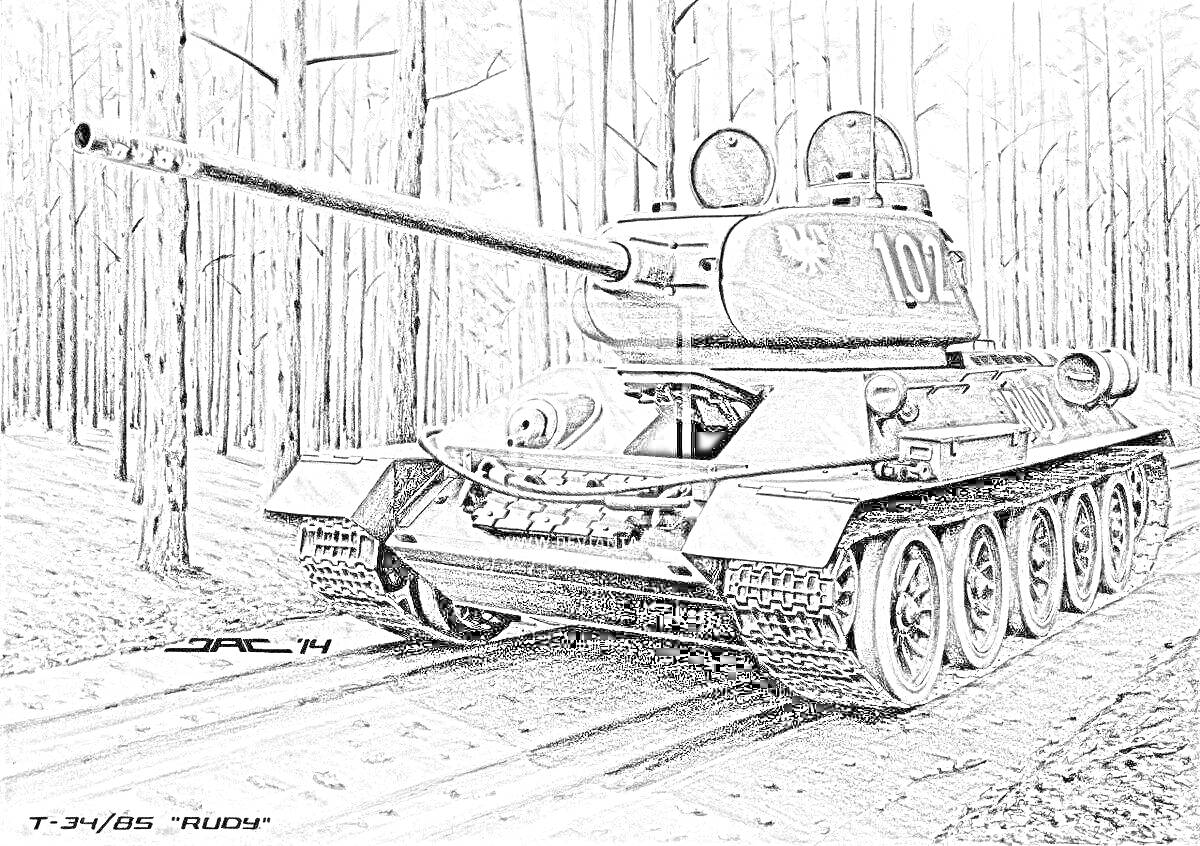 Танк Т-34-85 на фоне леса