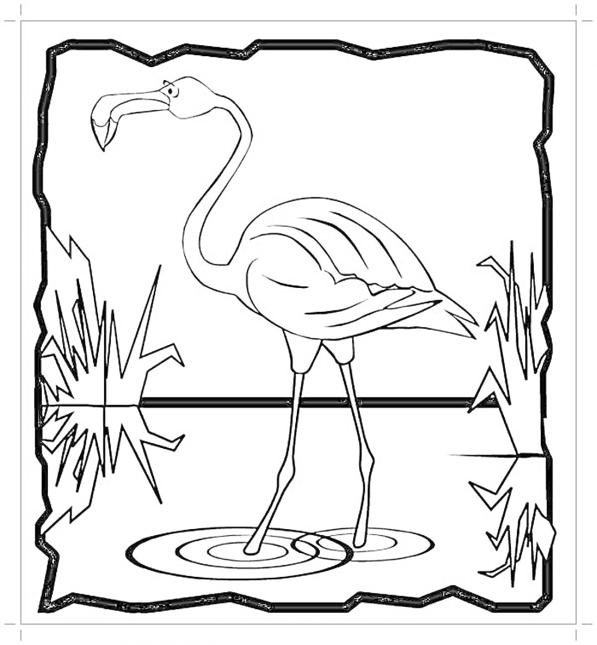 Раскраска Фламинго на водоеме с растительностью