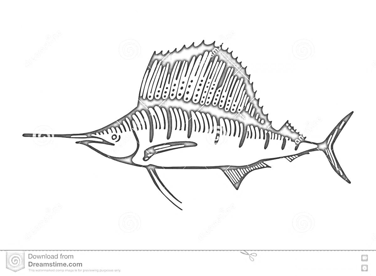 Раскраска Черно-белая раскраска рыбы-парусника с вытянутым телом и большим спинным плавником