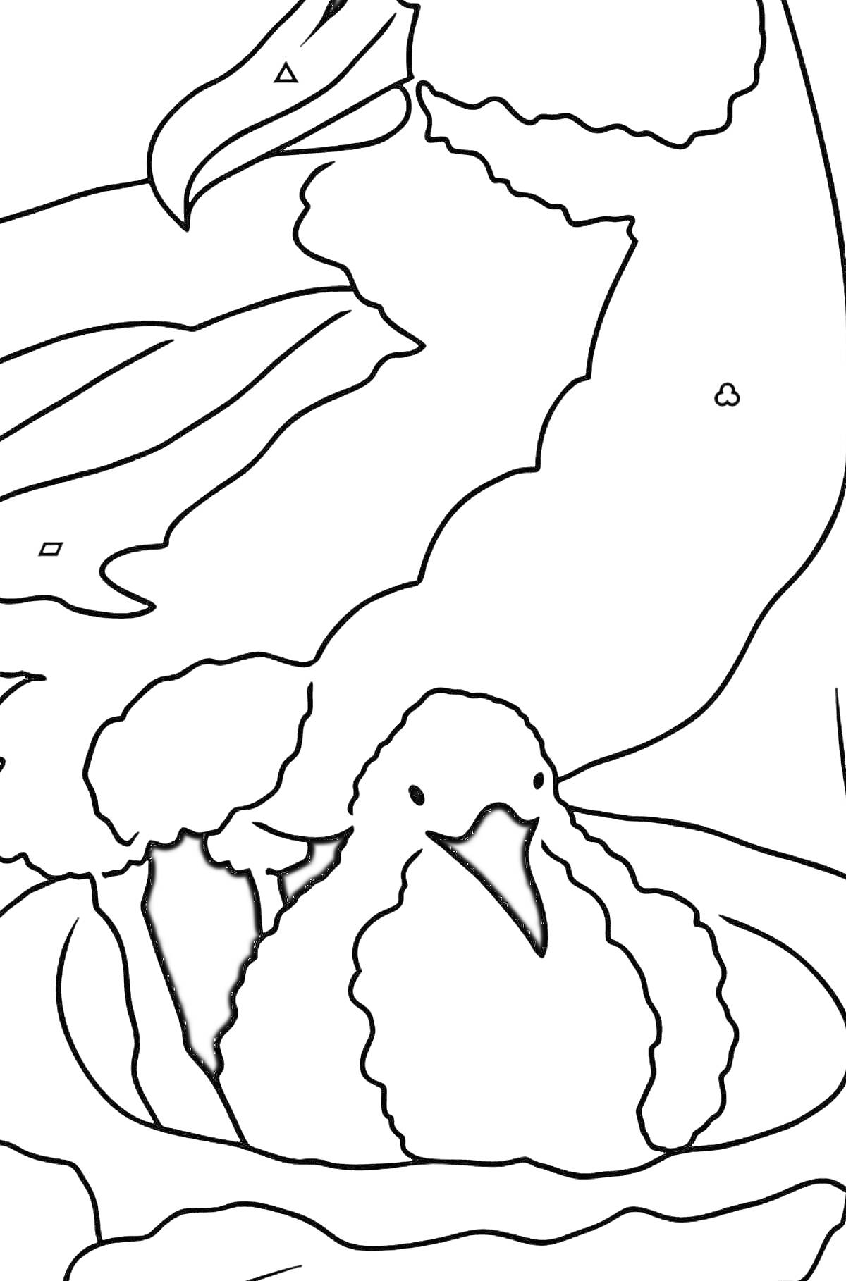 Раскраска Альбатрос и птенец в гнезде, стоящие друг на друга