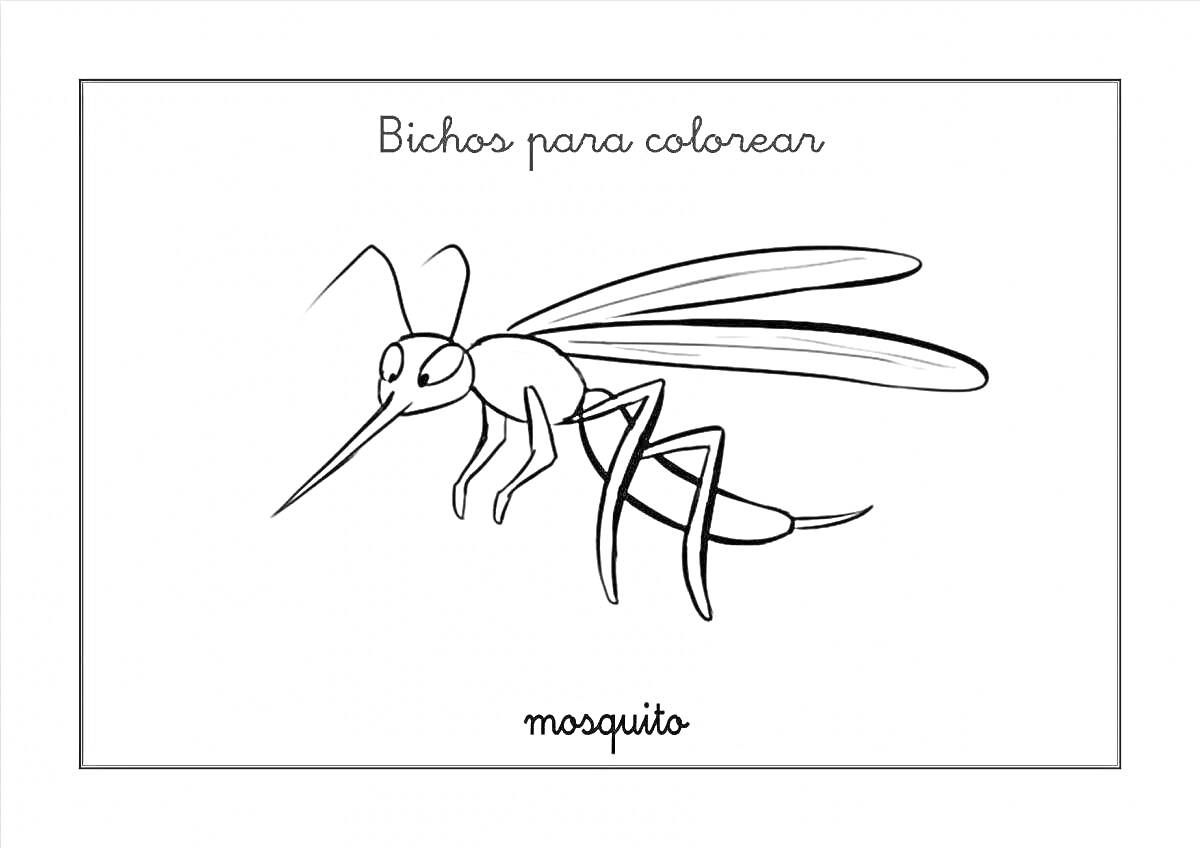 Раскраска Комарик с длинным хоботком и тремя парами ног на испанской раскраске