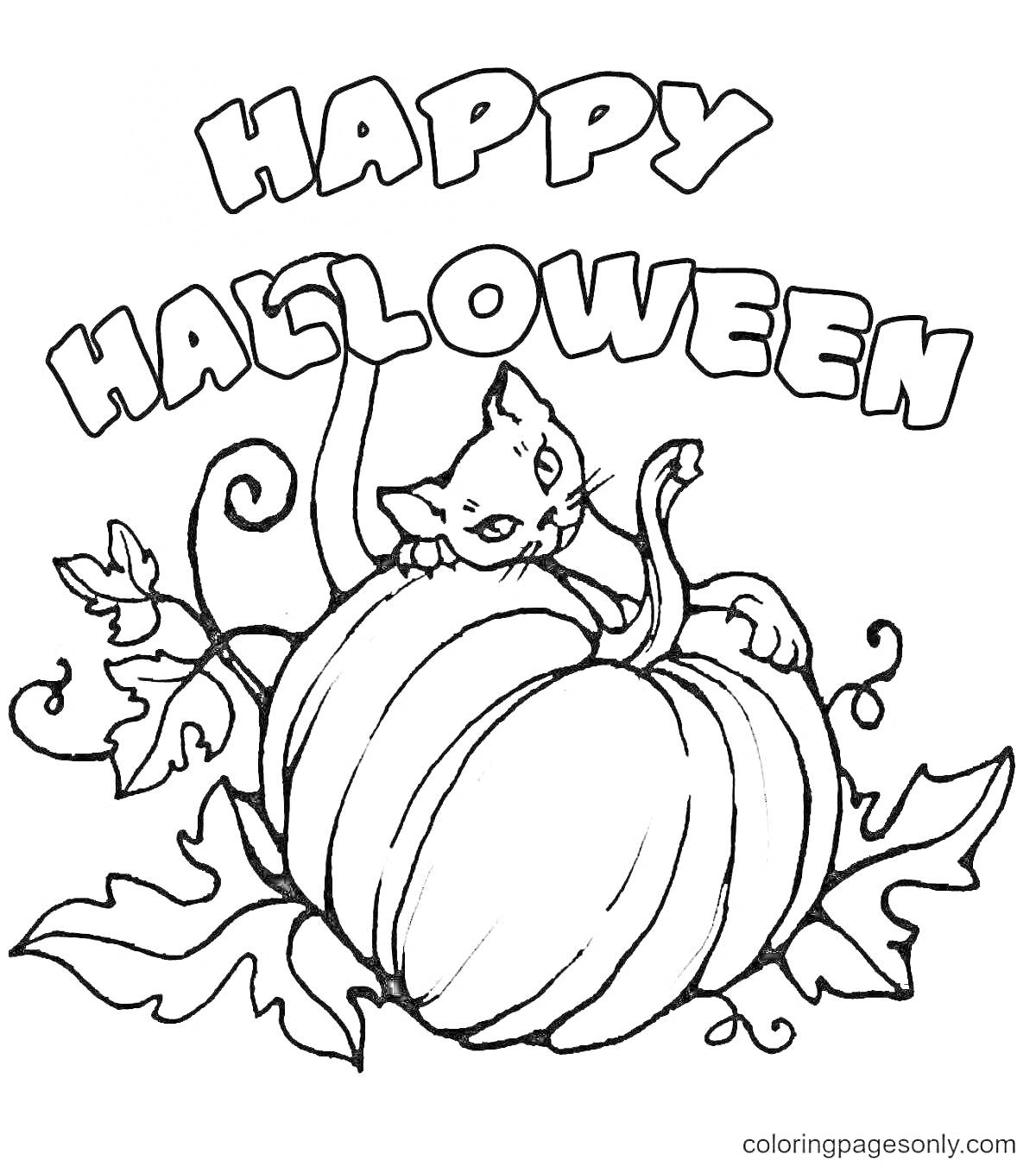 Раскраска Кот на тыкве с надписью 