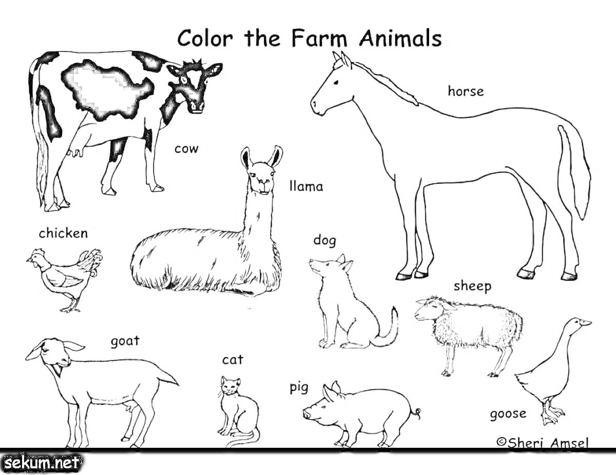 На раскраске изображено: Ферма, Корова, Лошадь, Курица, Собака, Овца, Коза, Кошка, Свинья, Гусь, Лама, Животное