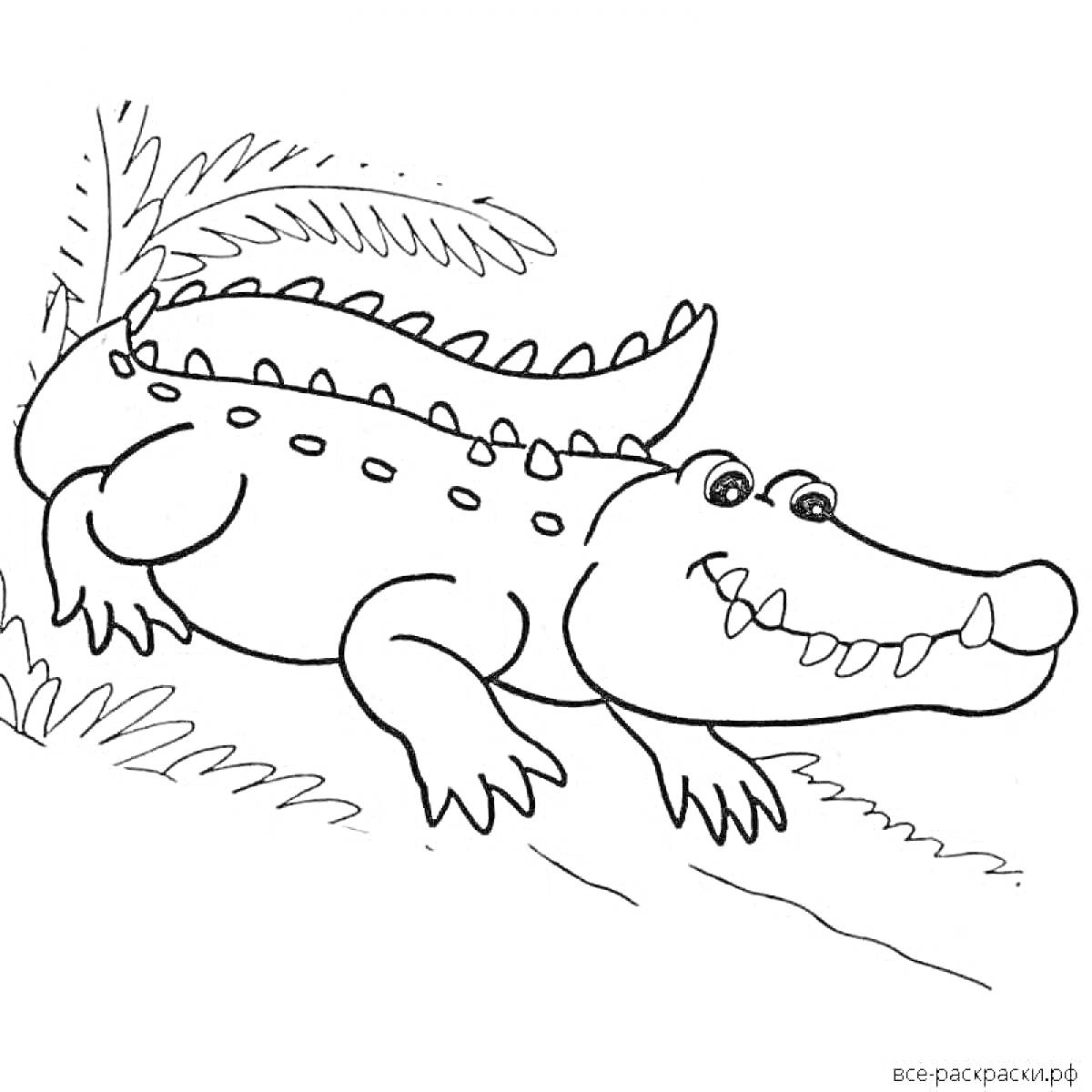 Раскраска Крокодил на траве возле пальмового дерева