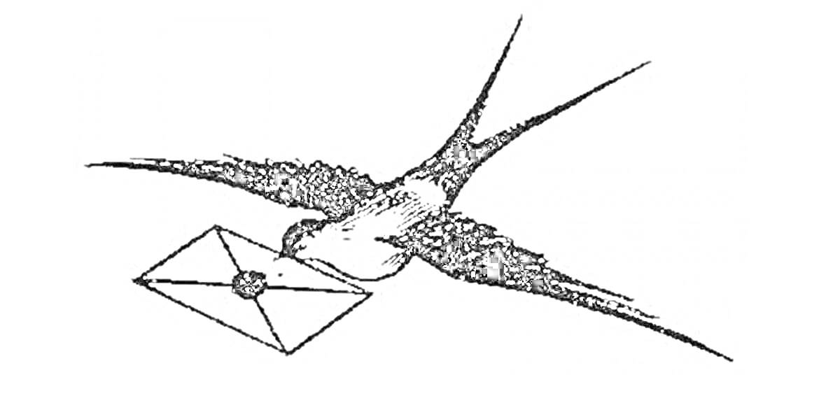 На раскраске изображено: Ласточка, Птица, Конверт, Сообщение, Почта