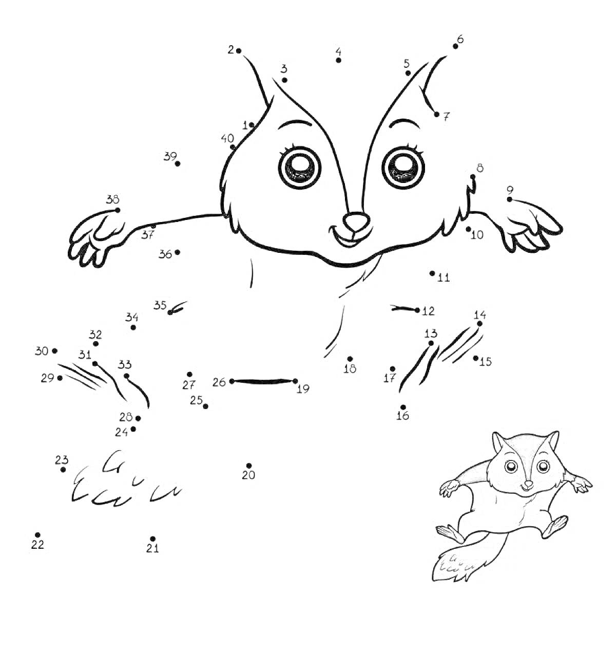 Раскраска Белка-летяга по точкам с цветным примером