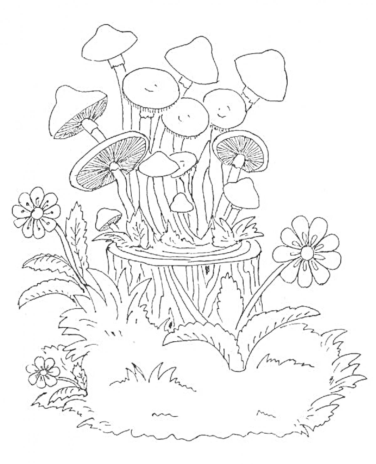 На раскраске изображено: Опята, Грибы, Пень, Цветы, Трава, Природа, Лес