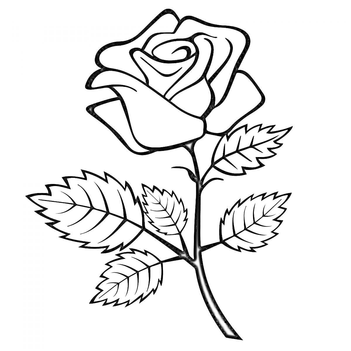Раскраска Раскраска с изображением розы с листьями и стеблем