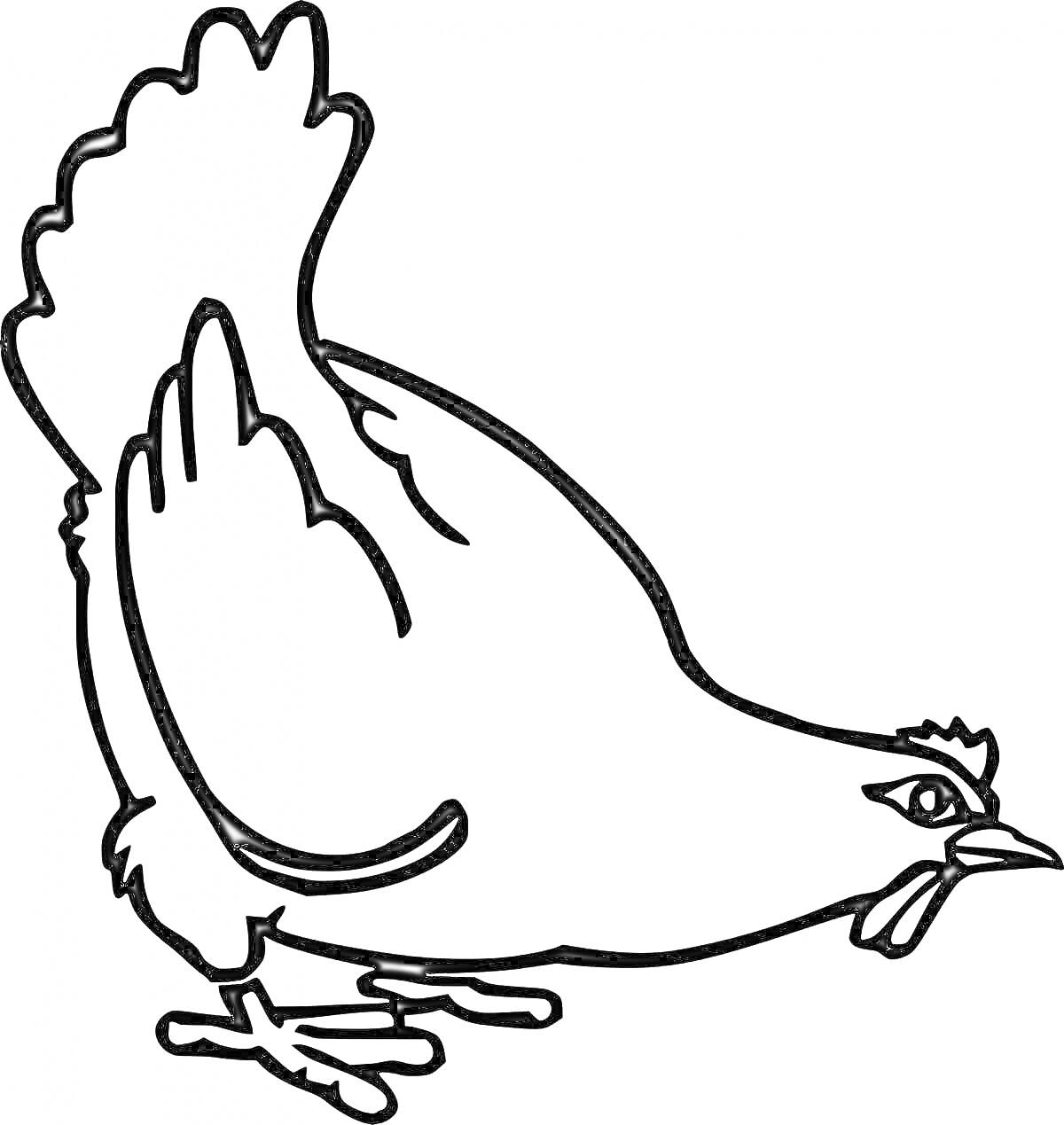 На раскраске изображено: Птица, Ферма, Сельское хозяйство, Еда, Контурные рисунки, Курицы
