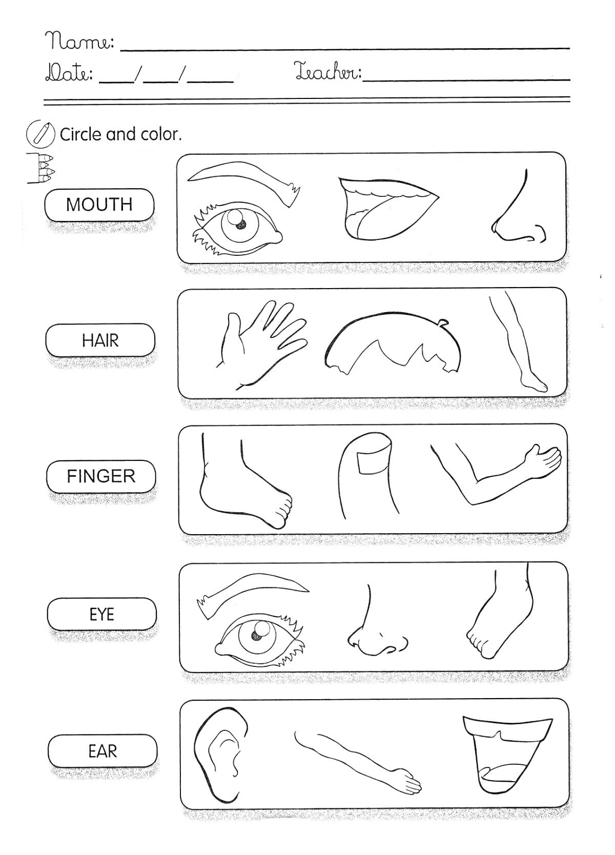На раскраске изображено: Части тела, Рот, Волосы, Рука, Ухо, Обучение