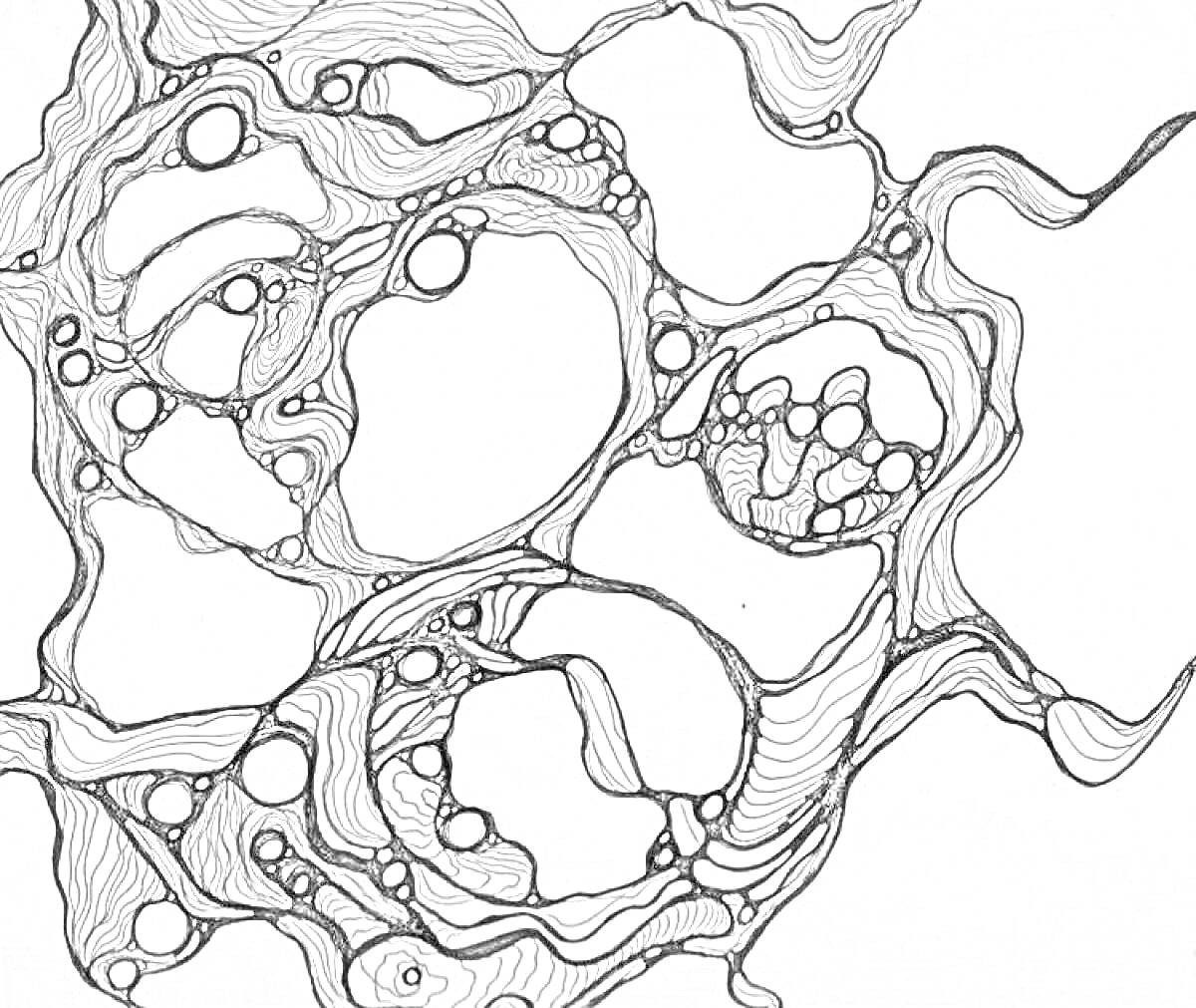 Раскраска Абстрактная нейронная сеть с круглыми и изогнутыми линиями