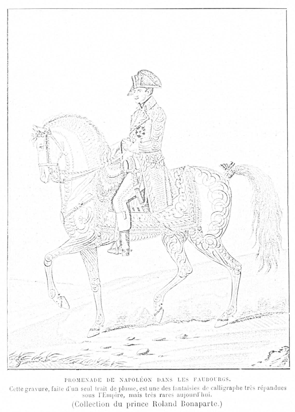 На раскраске изображено: Конь, Гравюра, Историческая фигура, Шляпа, Военный, Поле, Историческая сцена