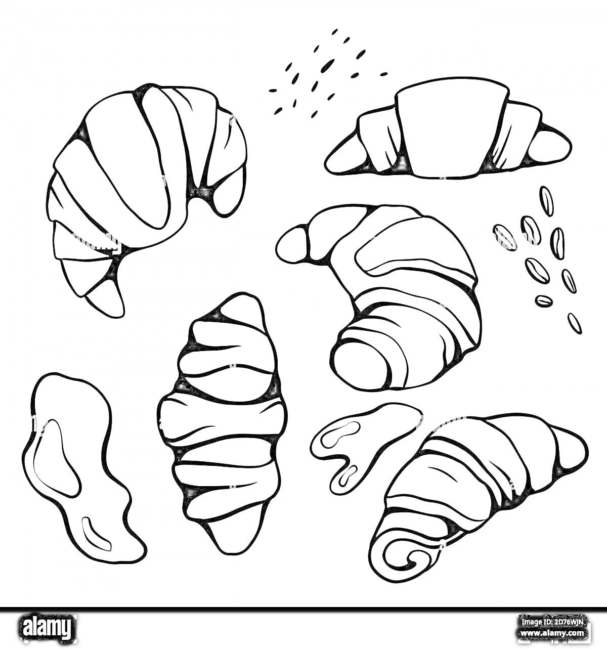 Раскраска круассаны с семенами и тестом
