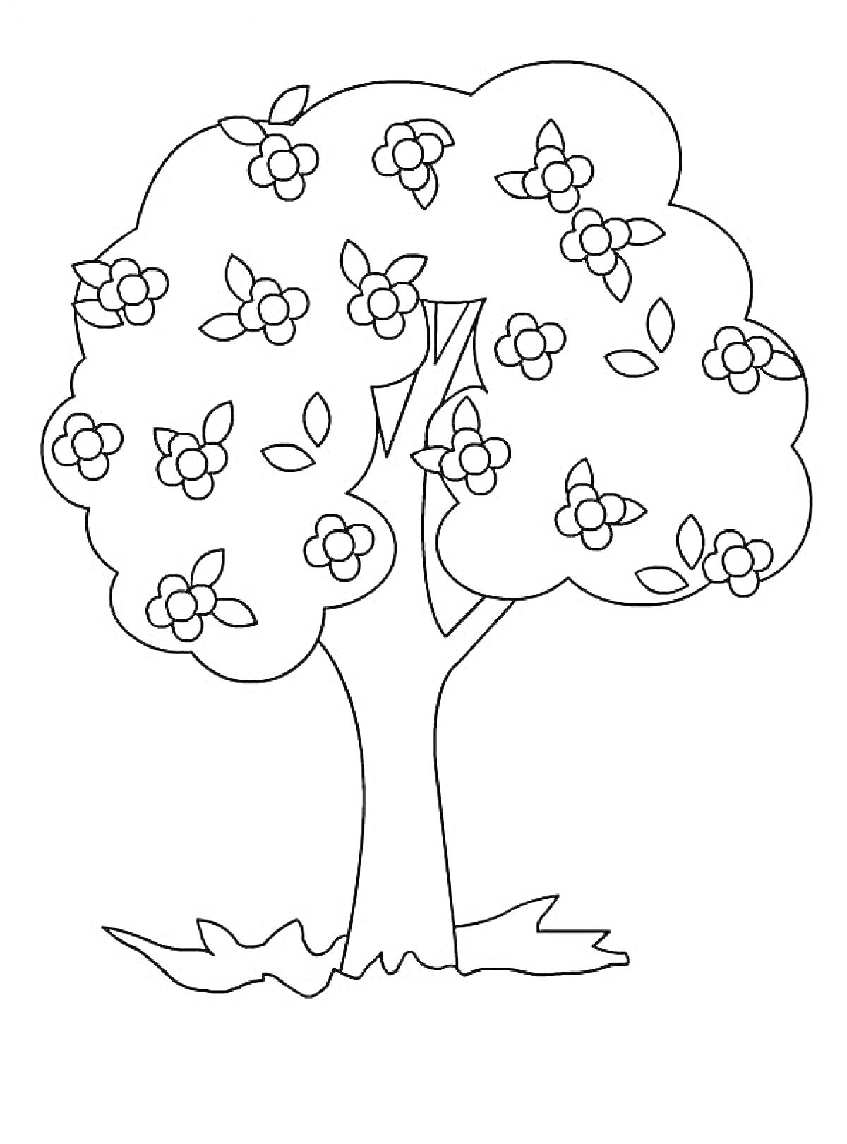 На раскраске изображено: Яблоня, Цветы, Листья, Природа, Растения, Весна, Деревья