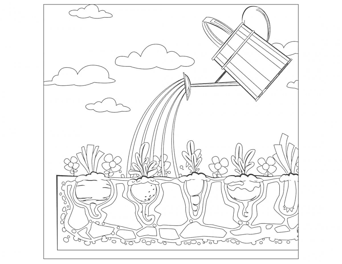 На раскраске изображено: Огород, Овощи, Лейка, Полив, Земля, Цветы, Облака, Капли