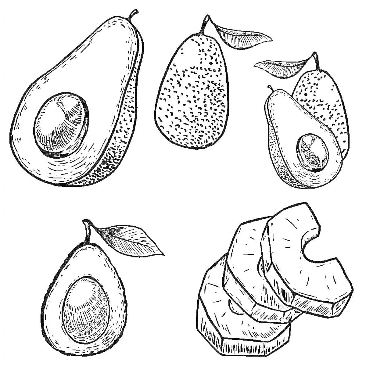 Раскраска Зарисовка авокадо (разрезанный авокадо с косточкой, целый авокадо с листом, два половинчатых авокадо с листами, кусочки авокадо)