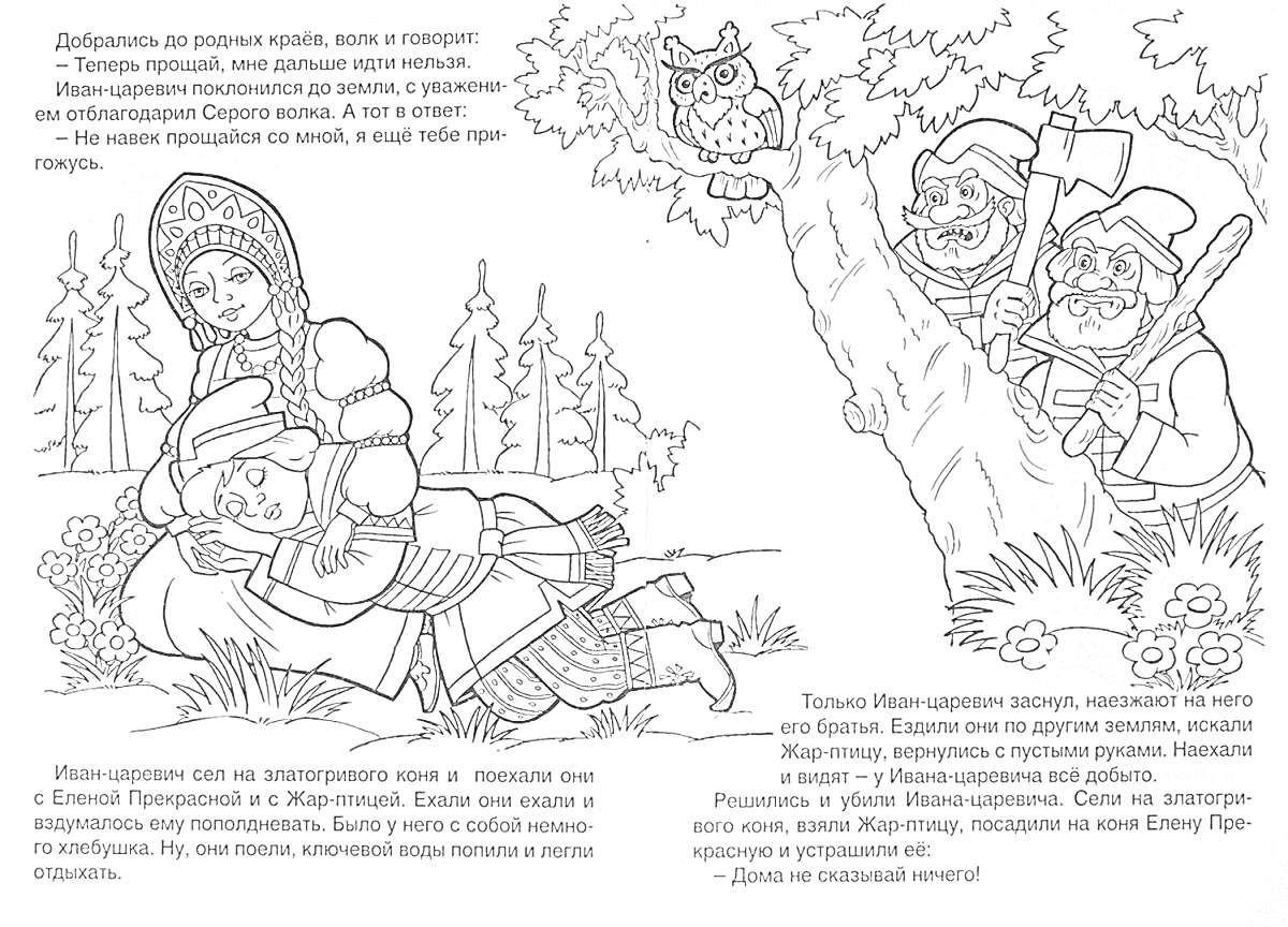 На раскраске изображено: Василиса Прекрасная, Злодеи, Сова, Лес, Жар-птица, Иллюстрация