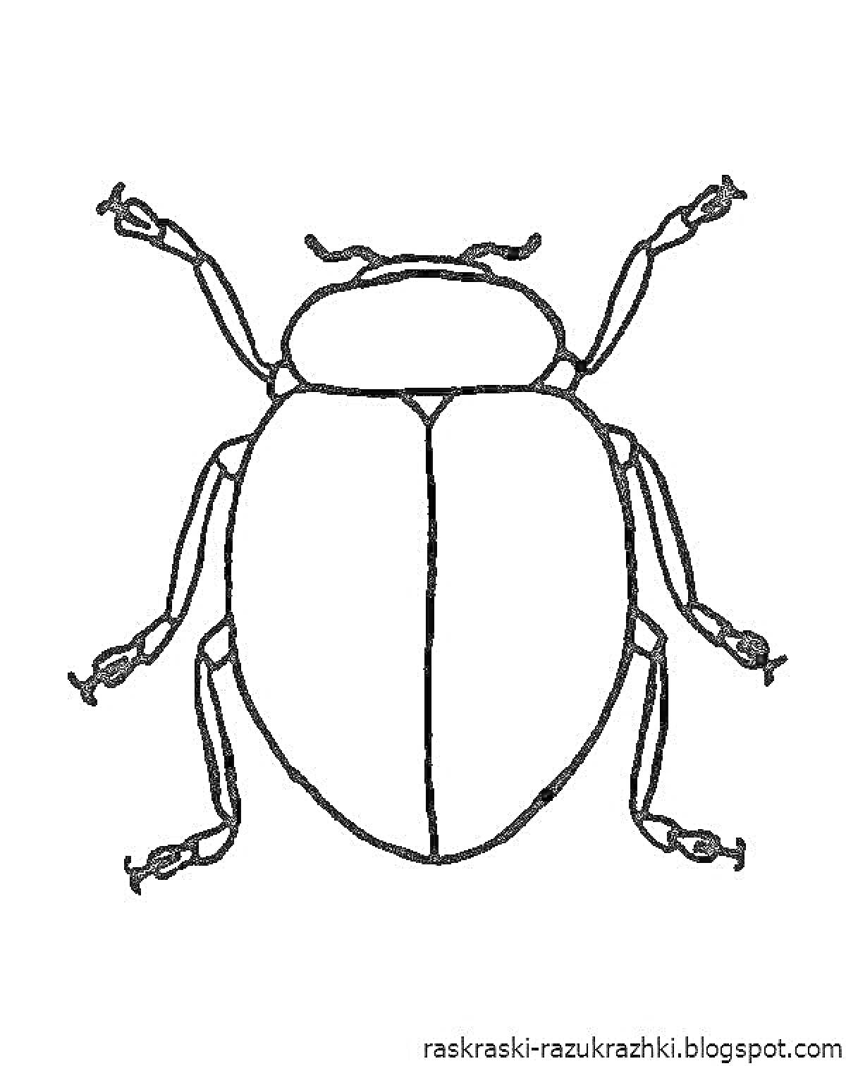 Раскраска Жук с шестью лапами, без фона