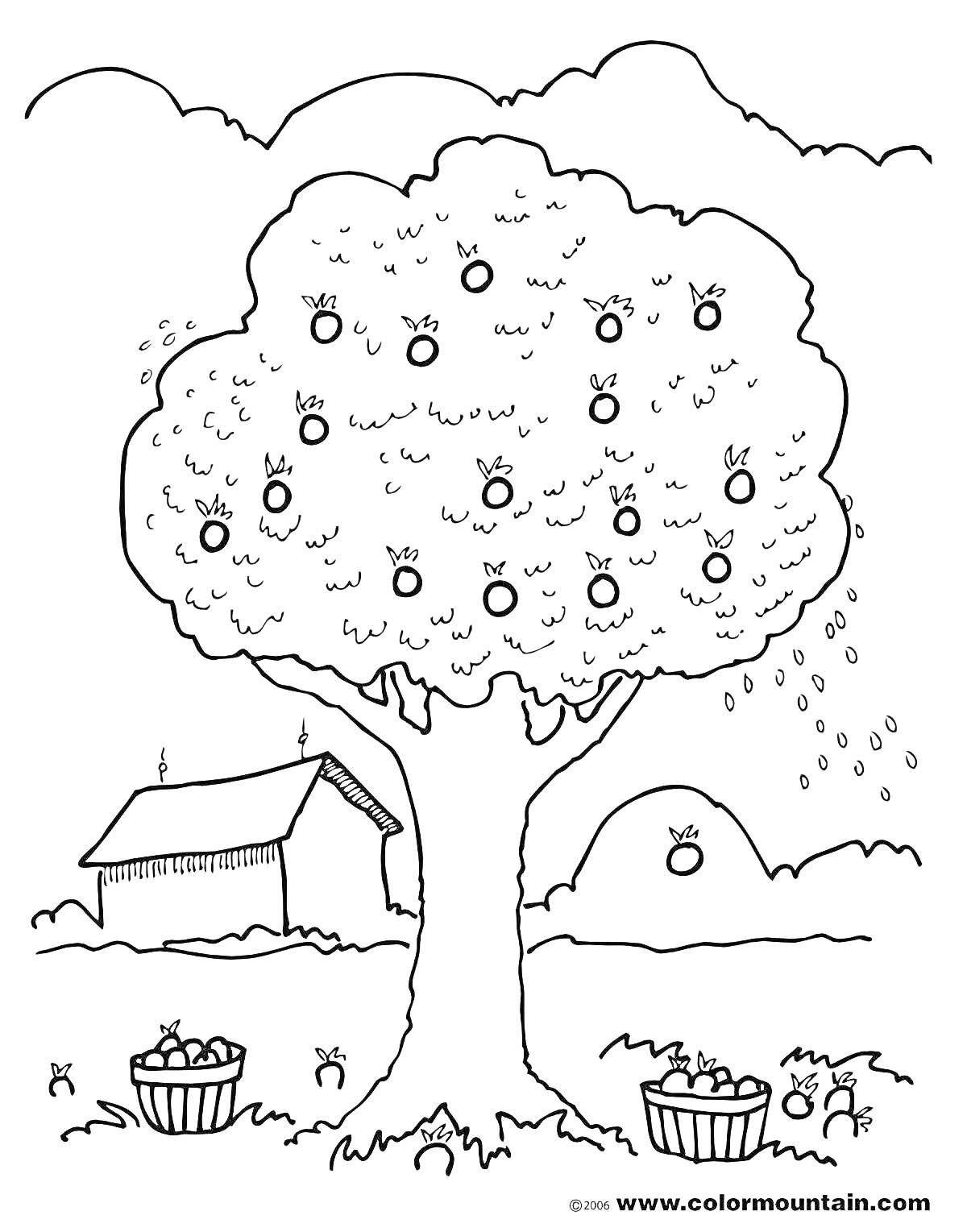 На раскраске изображено: Яблоня, Дом, Растения, Деревья, Сад