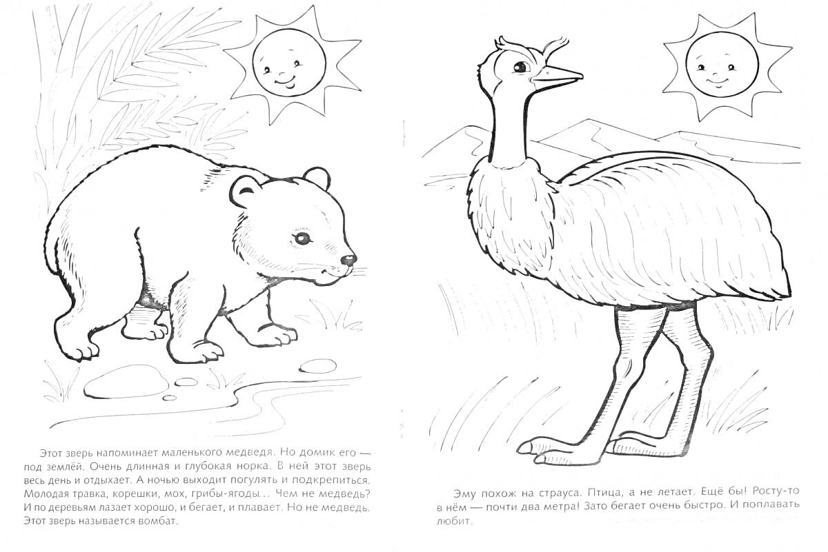Раскраска Медвежонок и журавль на фоне солнца