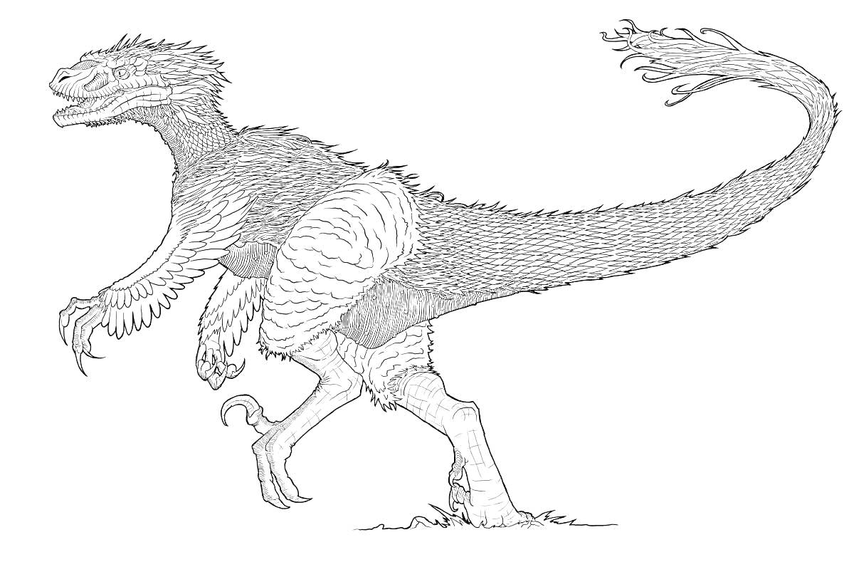 На раскраске изображено: Ютараптор, Динозавр, Бег, Перья, Палеонтология