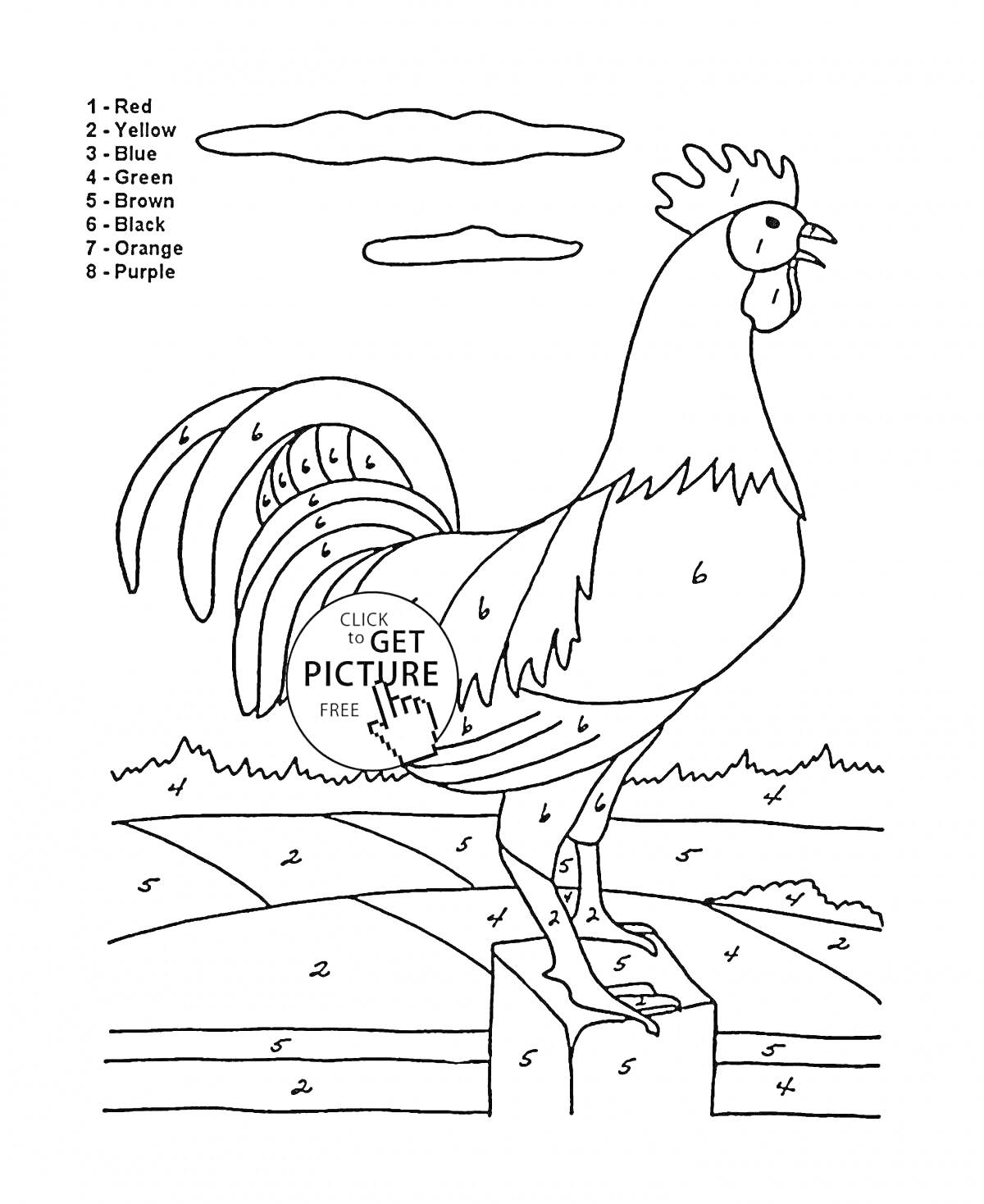 На раскраске изображено: Петух, Домашние птицы, Для детей, Облака, Поле, Природа, Обучение, 5-6 лет