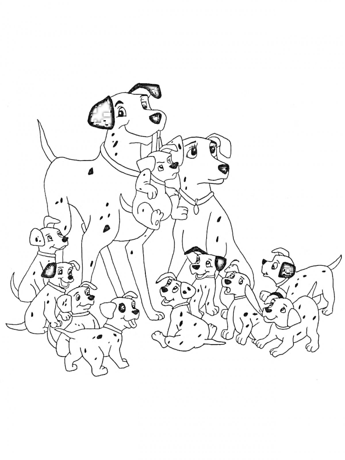 На раскраске изображено: Далматинец, Собака, Животные