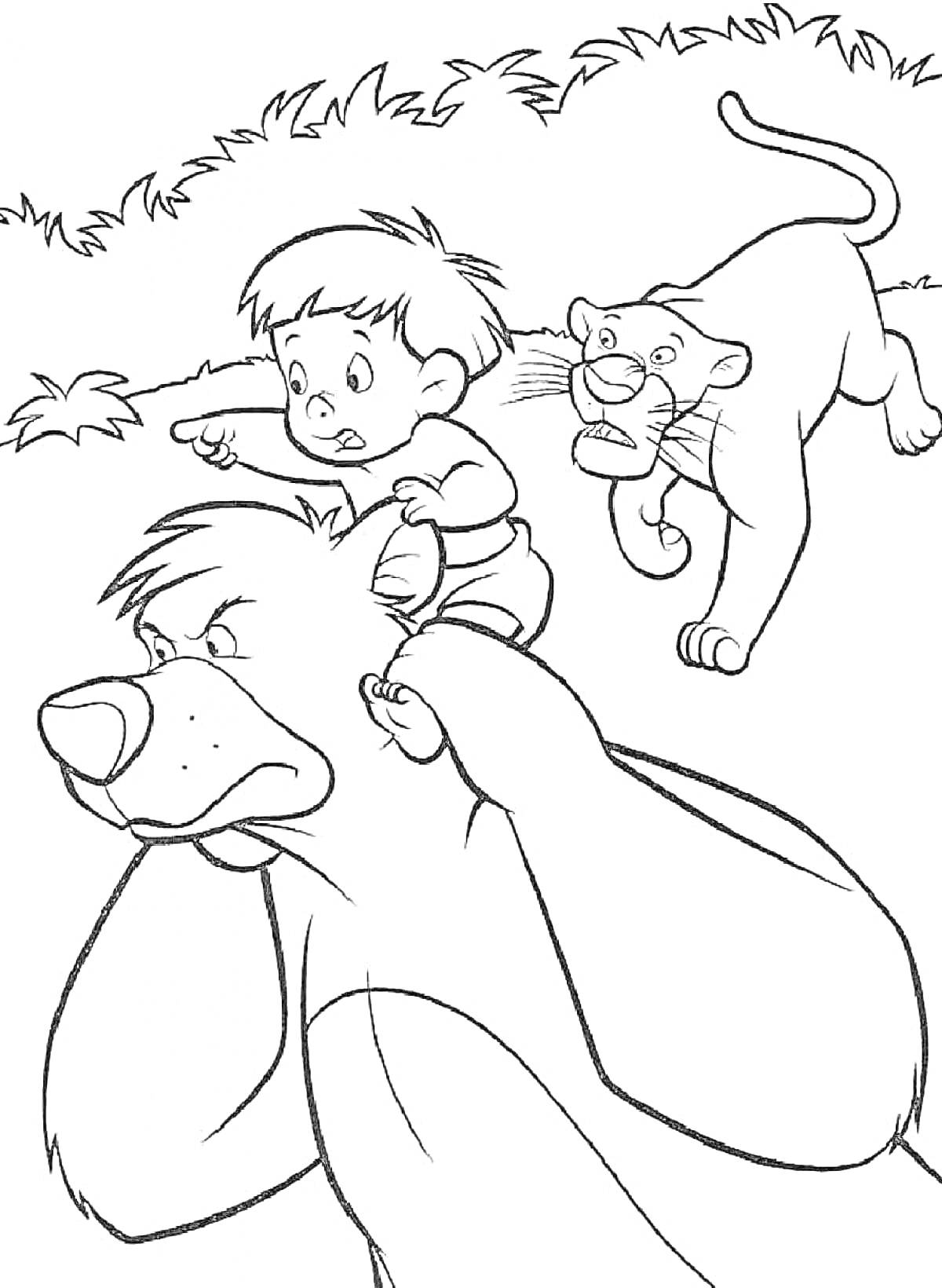 На раскраске изображено: Мальчик, Медведь, Пантера, Джунгли, Книга джунглей, Животные