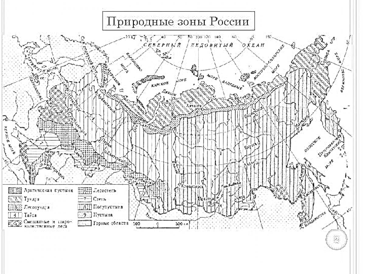 Раскраска Карта природных зон России с указанием зон арктических пустынь, тундры, лесотундры, тайги, смешанных и широколиственных лесов, лесостепей и степей