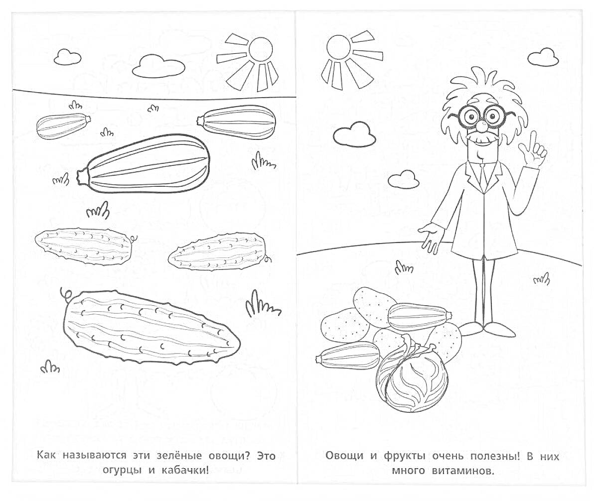 Раскраска Овощи (кабачки), персонаж в лабораторном халате