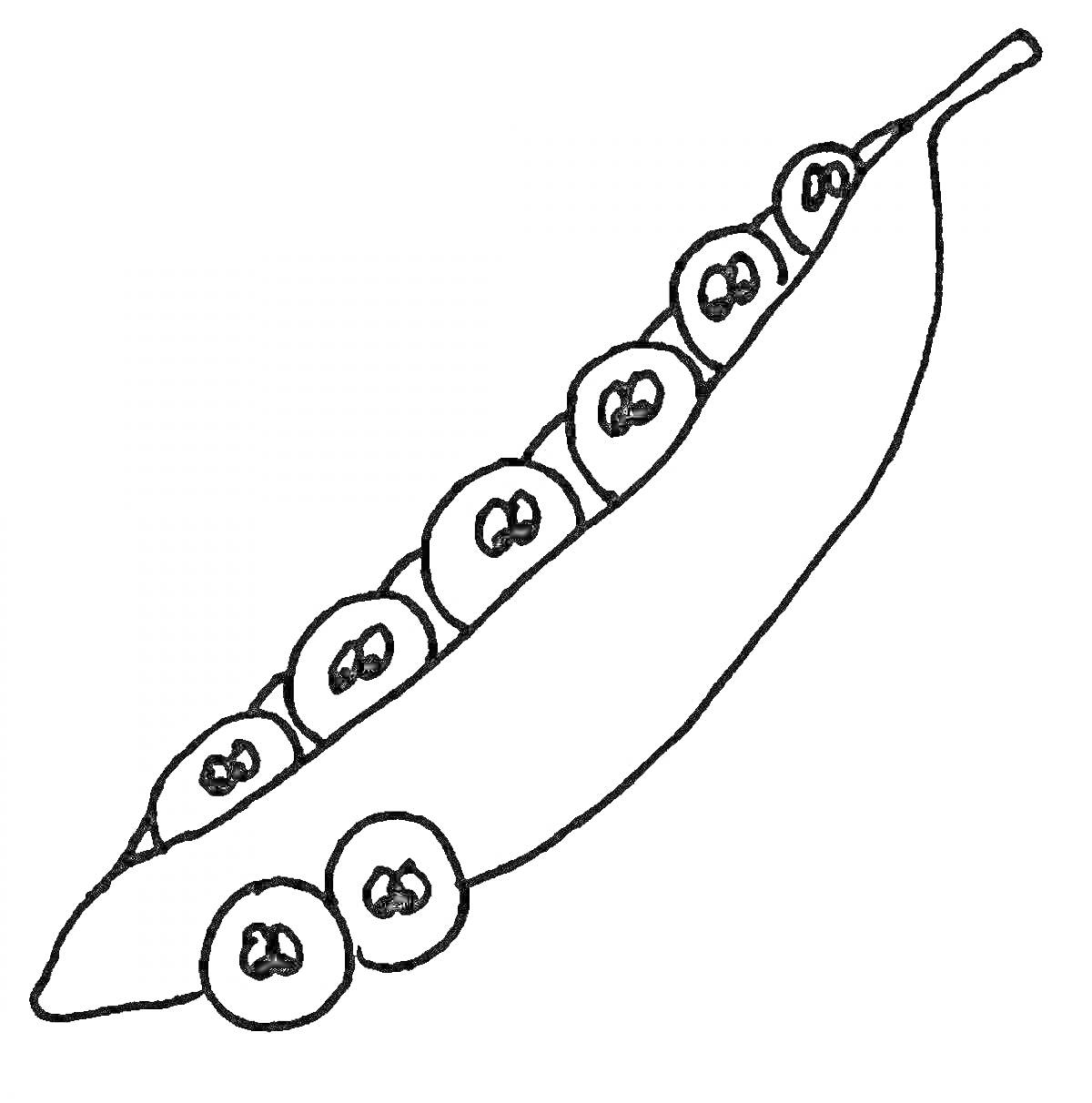 Раскраска горошек в стручке с глазами