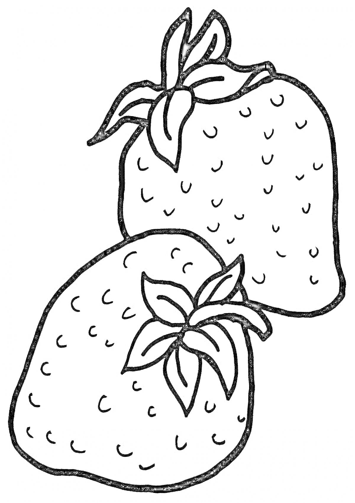 На раскраске изображено: Клубника, Ягоды, Листья, Для детей, Еда