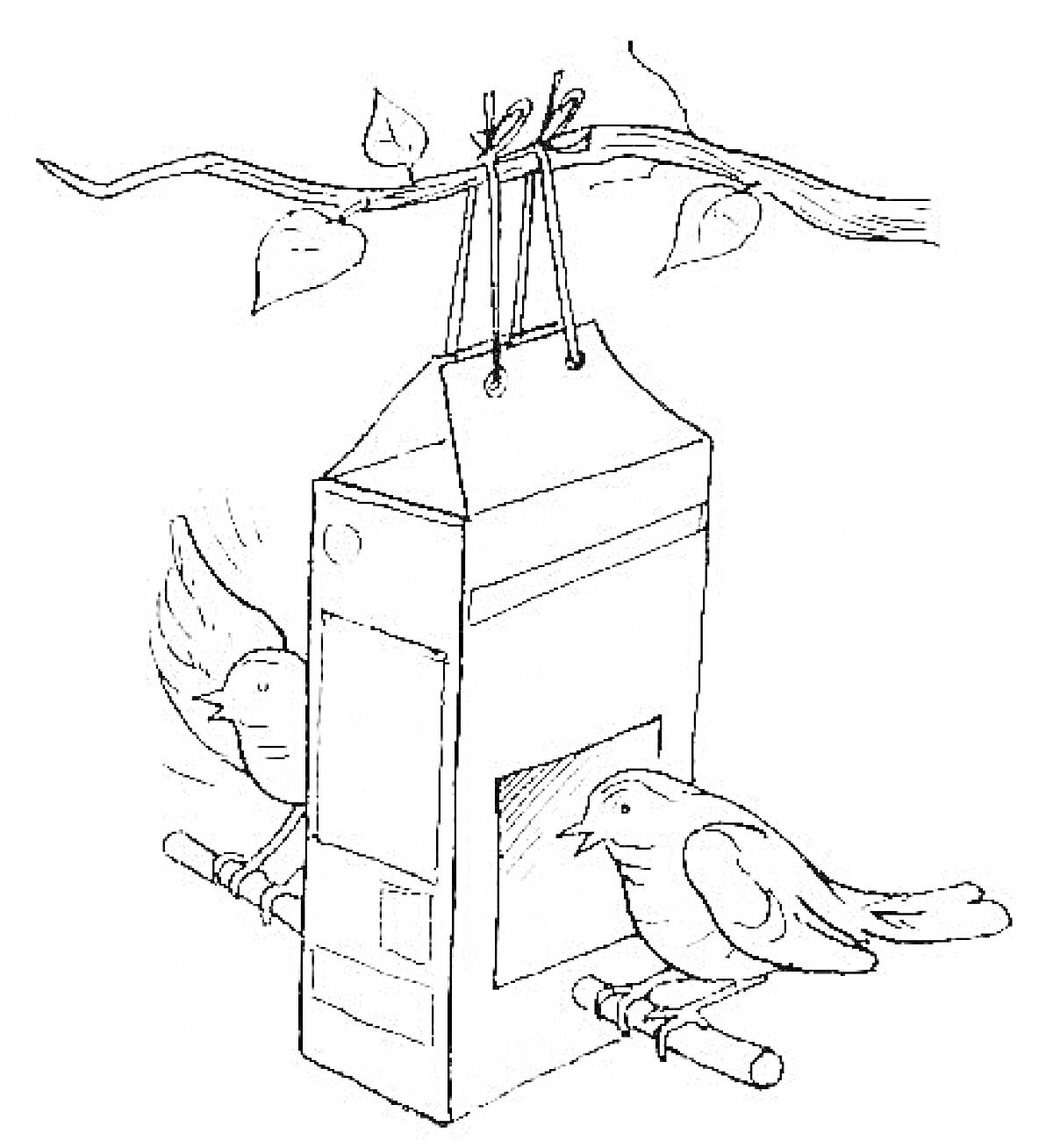 Кормушка для птиц из картонной коробки на ветке с двумя птицами