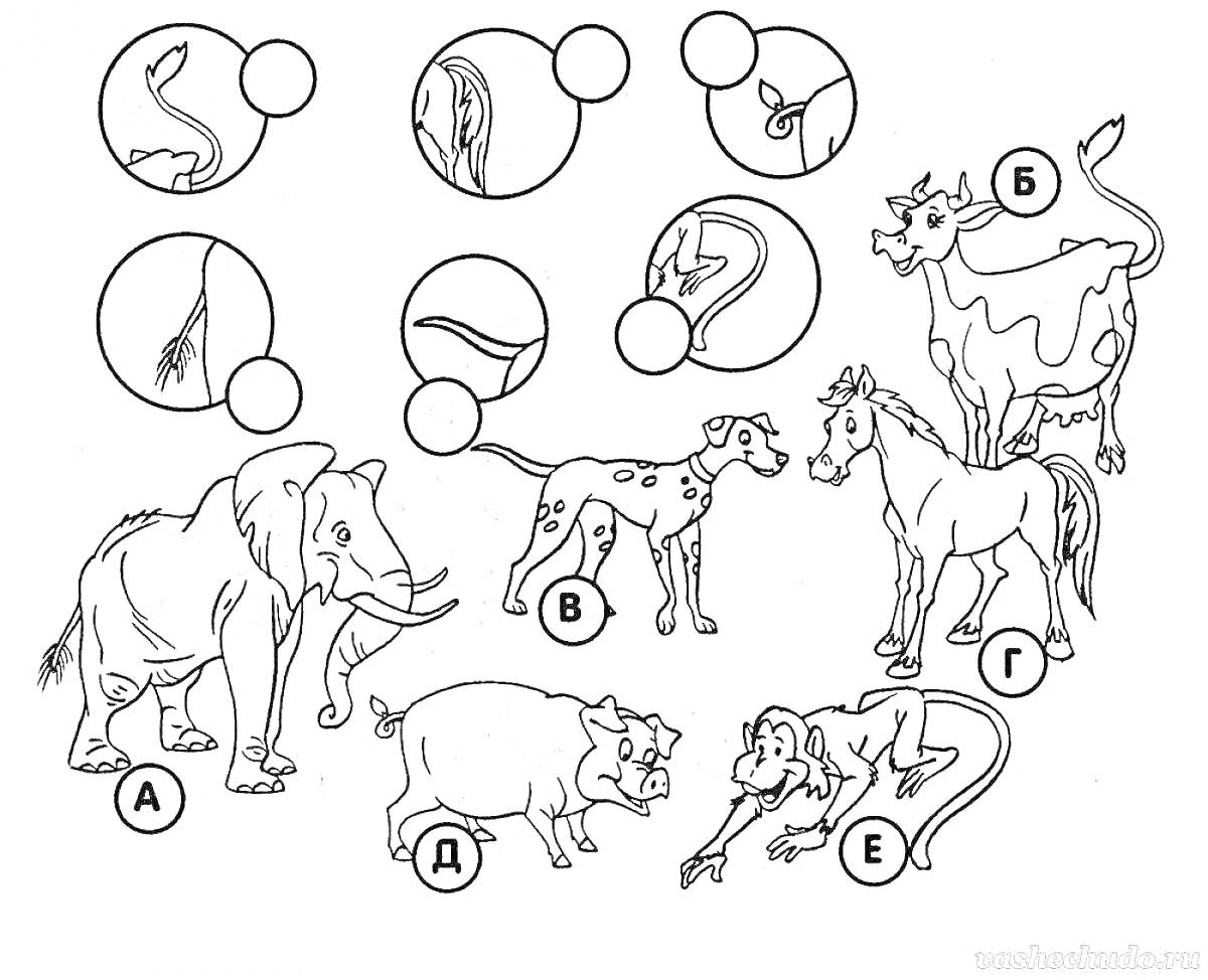 Раскраска Раскраска с различием частей животных - слон, корова, лошадь, обезьяна, собака и свинья