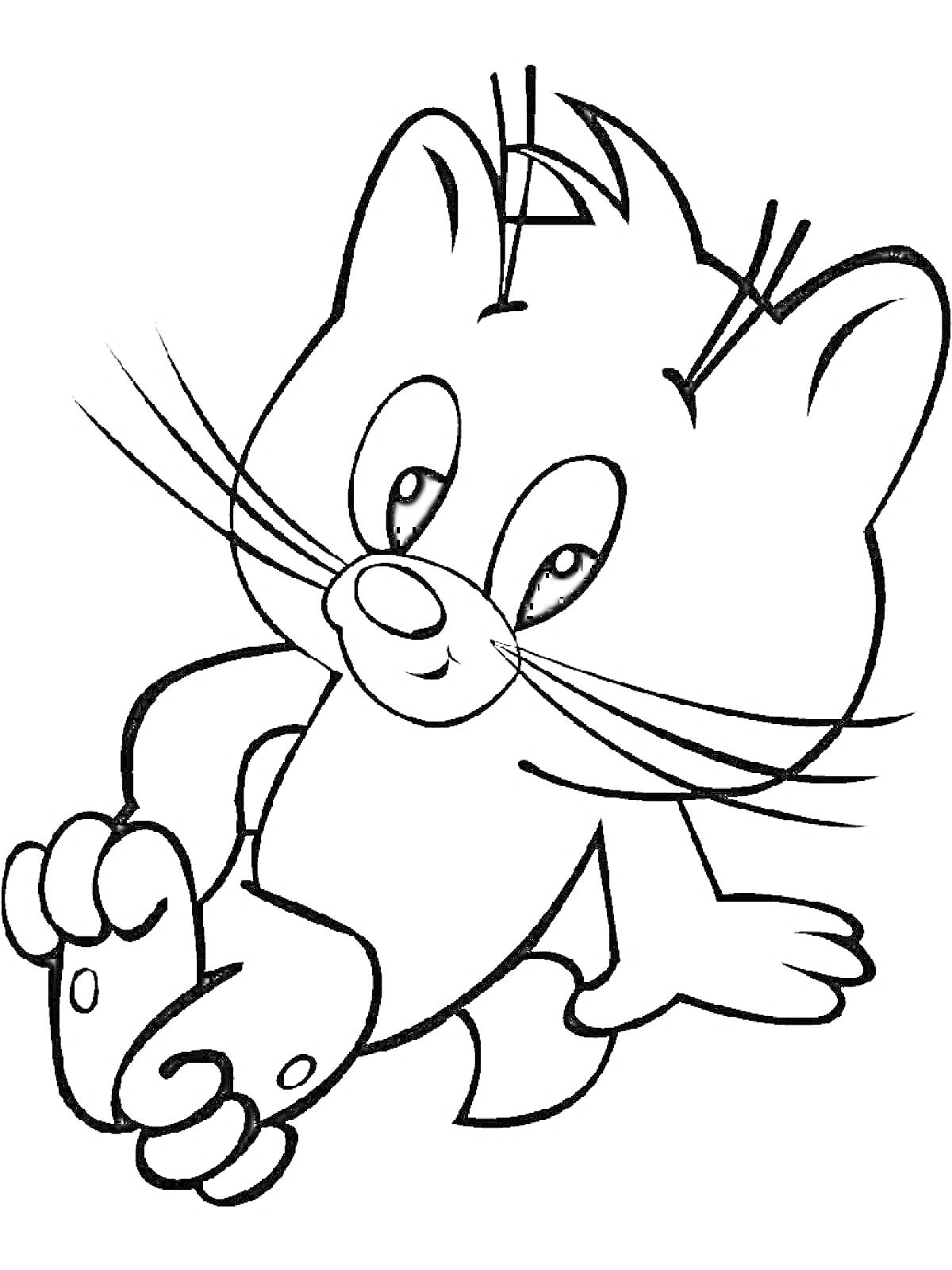 Раскраска Котёнок с большими глазами и лапками