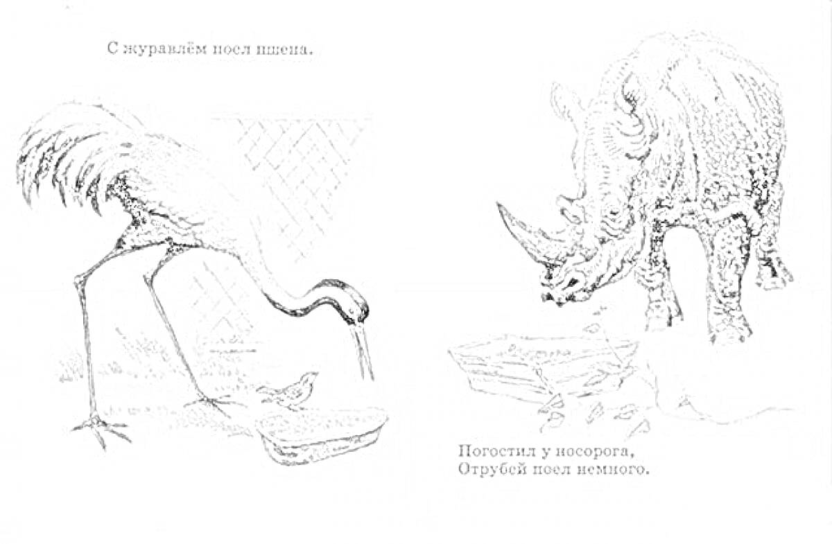 На раскраске изображено: Воробей, Журавль, Носорог, Обед, Животные, Еда, Природа