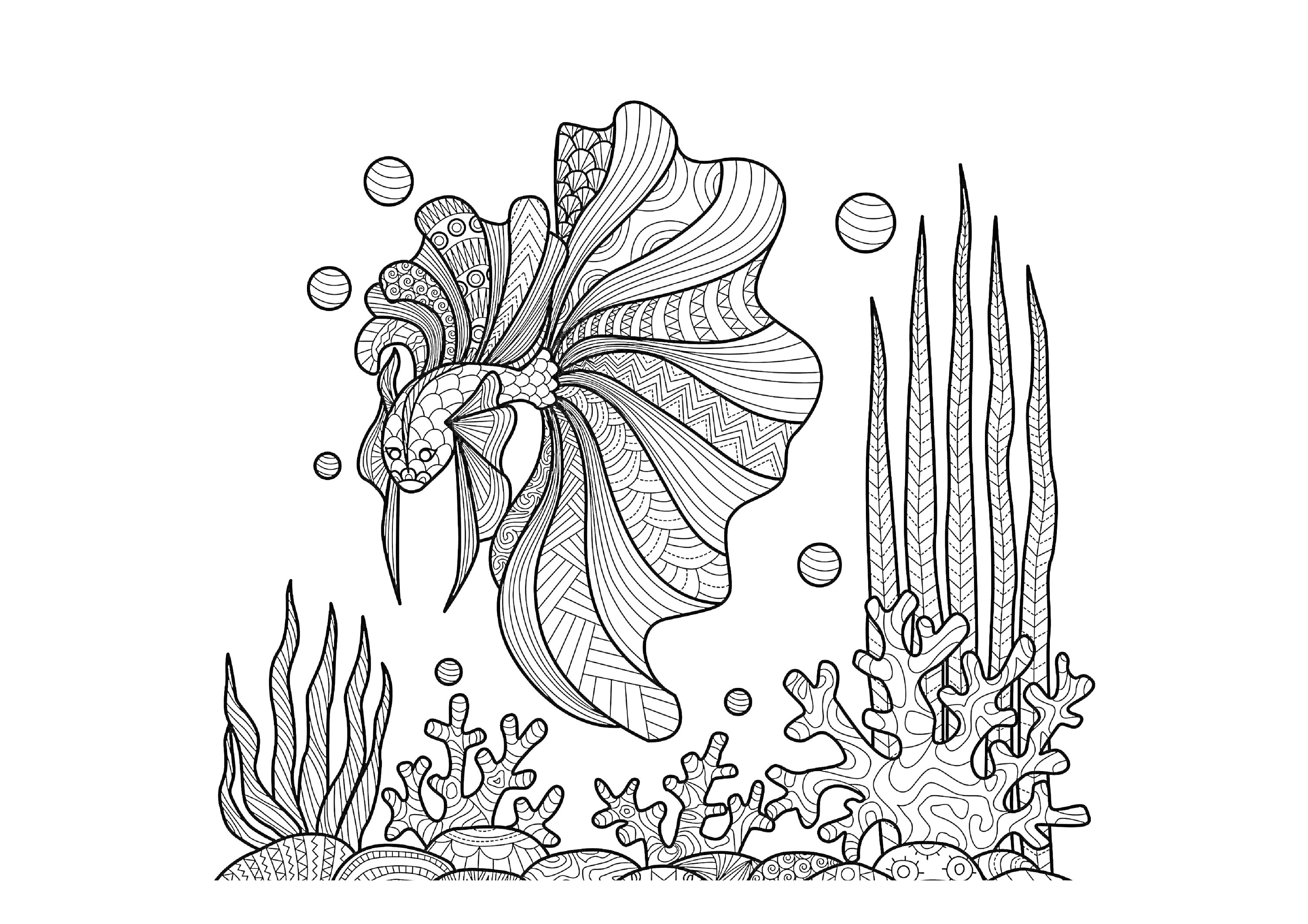 Раскраска Рыбка с водорослями, кораллами и пузырьками