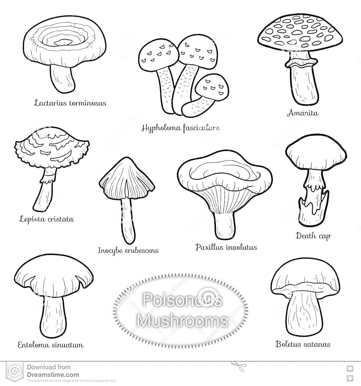 Раскраска с изображениями съедобных и несъедобных грибов: Lactorius torminosus, Hyphaloma fasciculare, Amanita, Lepiota cristata, Inocybe erubescens, Paxillus involutus, Death cap, Entoloma sinuatum, Bolbitius vitellinus.