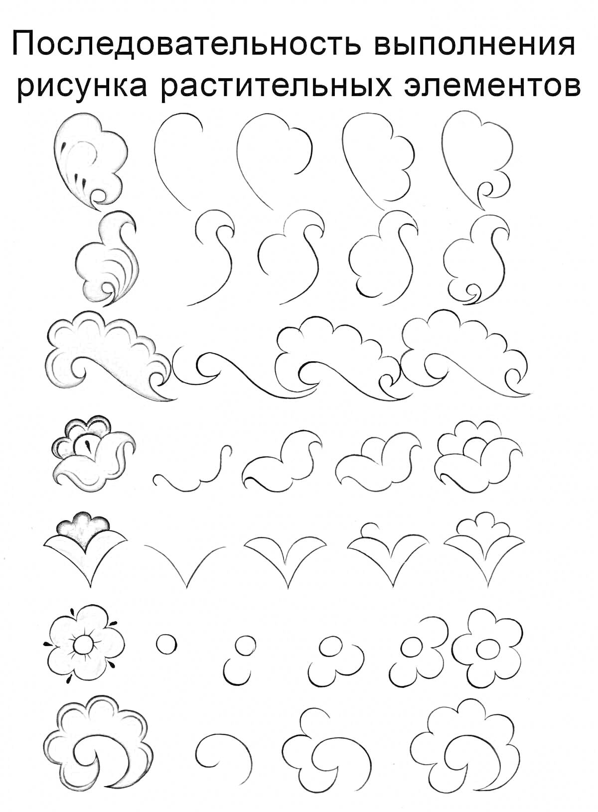 Раскраска Последовательность выполнения рисунка растительных элементов в борецкой росписи