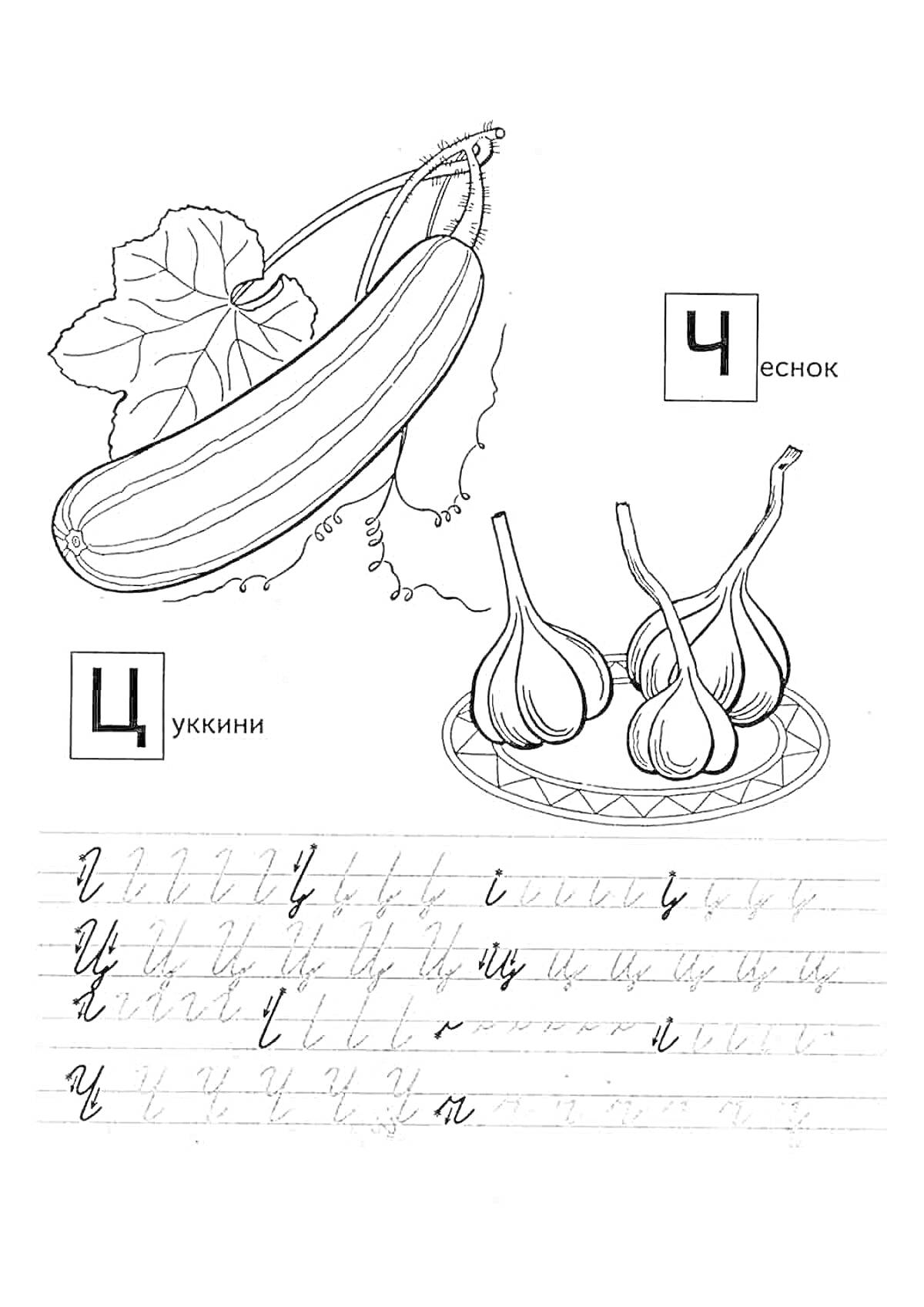 Раскраска Раскраска с элементами: кабачок, чеснок, прописные буквы Ч, Ц