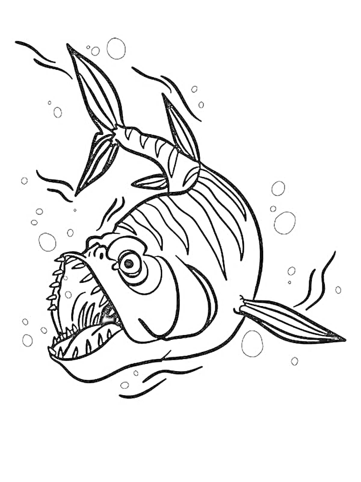 Раскраска Агрессивная рыба с большими зубами и пузырями вокруг